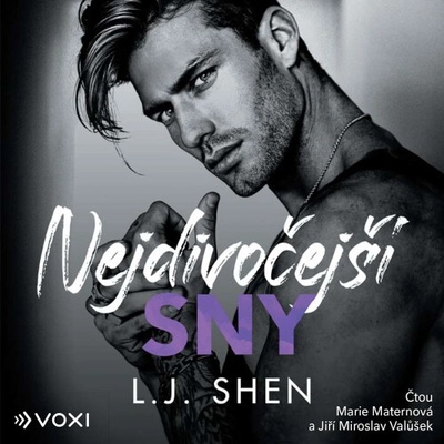 Nejdivočejší sny - L. J. Shen
