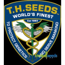 T.H. Seeds Shiloh Z semena neobsahují THC 5 ks