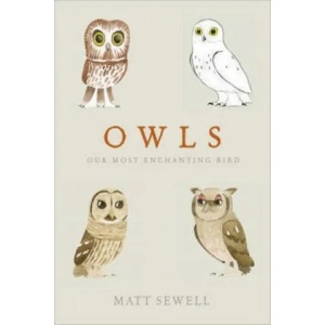 Owls | Matt Sewell (2014)