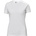 Helly Hansen clasic 79163 manchester / Дамска тениска - бяла s (59916300101)