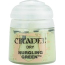 GW Citadel Dry: Nurgling Green12ml