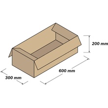 NAKUPIM.SK Kartónová krabica 3VVL klopová 600 x 300 x 200 mm