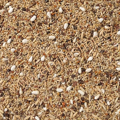 Deli Nature 68 Large Parakeets Without Sunflower Seeds 4 kg – Zboží Dáma