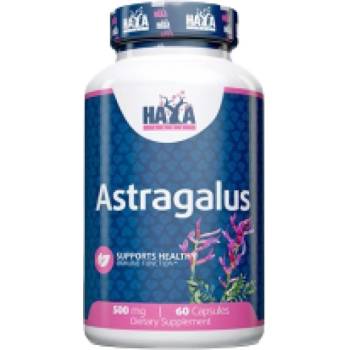 Image 1 of Haya Labs Astragalus 500 mg [60 капсули]