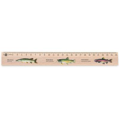 Metrie Didakt-M07 Dřevěné pravítko s potiskem S motivem ryb 25 cm