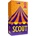Oink Games Настолна игра scout - Семейна (oin09222)
