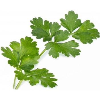 Veritable Вложка за семена Lingot основни билки магданоз (lingot-pietruszka)