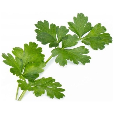 Veritable Вложка за семена Lingot основни билки магданоз (lingot-pietruszka)