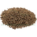 Koňské bylinky Drmek obecný semeno celé Agnus castus semen 1 kg