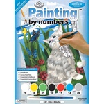 Royal & Langnickel Рисуване по номера Kitten & Butterflies (PJS7)