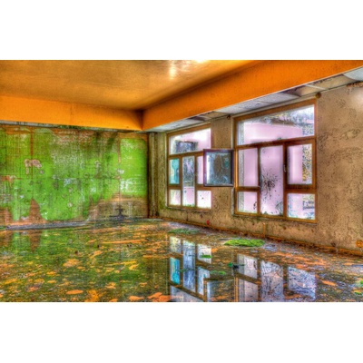 DIMEX ART Флизелинов фототапет оранжево-зелена стая 375 x 250 см