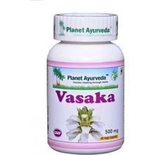 Planet Ayurveda Vasaka extrakt 5:1 500 mg 60 kapslí