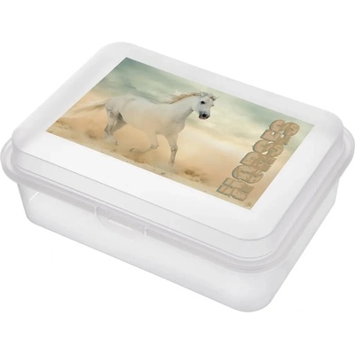 Orion Box na desiatu KÔŇ