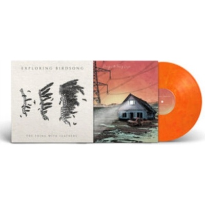 Dancing in the face of danger - Exploring Birdsongs LP