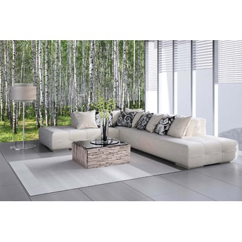 DIMEX ART s. r. o Самозалепваща се флизелинова фототапета брезова горичка iii. 375 x 250 см