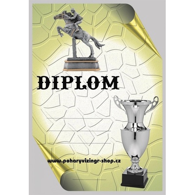 VIZINGR Parkur diplom č.17