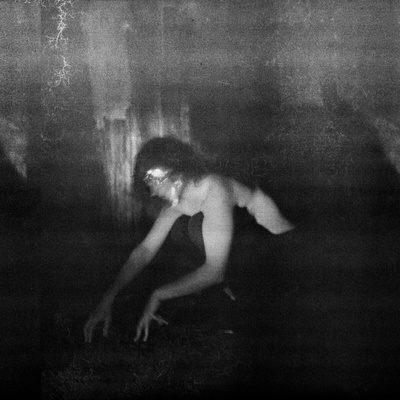 Demande À La Poussière - Quiétude Hostile (Limited Edition) (Box Set) LP