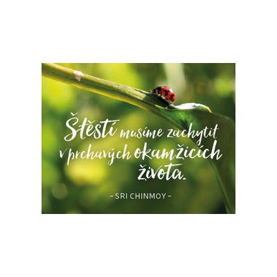 Štěstí musíme zachytit v prchavých okamžicích života Sri Chinmoy CZ Ostatní
