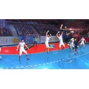 Handball 16