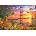 Schmidt Spiele - Puzzle Dominic Davison: Walking to the Golden Gate Bridge - 2 000 piese