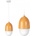 TOOLIGHT APP952-1CP
