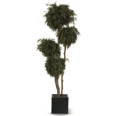 Nicoly 4 balls tree