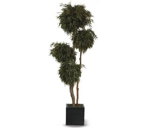 Nicoly 4 balls tree