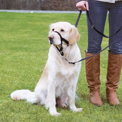 Trixie výcviková ohlávka Top Trainer L-XL 48-60 cm/37 cm
