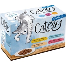 Catessy kúsky v omáčke 24 x 100 g