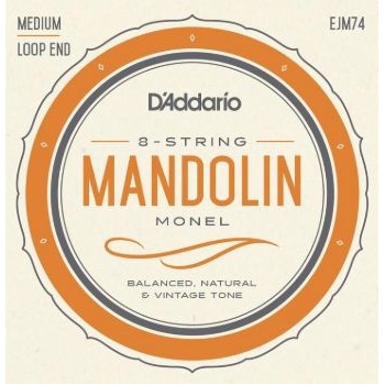 D'Addario EJM74
