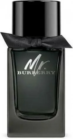 Burberry Mr Burberry EDP 100 ml Tester