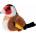 BEPPE Goldfinch 13cm