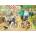 Falcon - Puzzle Walkies - 1 000 piese