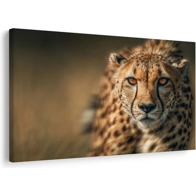 Obraz elegance afrického geparda - 60x40