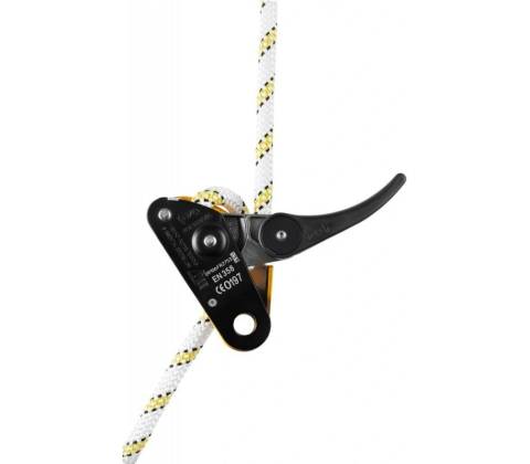 Petzl Grillon Hook