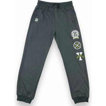 Chlapčenské tepláky sivá