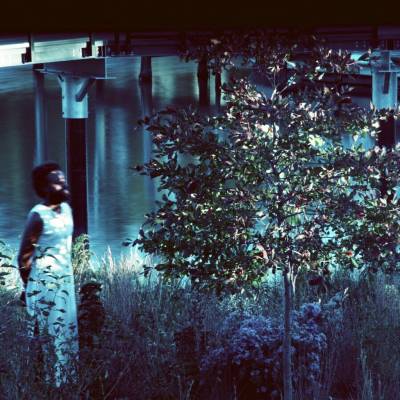 Jjjjjerome Ellis - Vesper Sparrow LP
