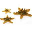 BiOrb Sea Stars set žltá 10, 8 a 5 cm