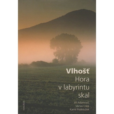 Vlhošť