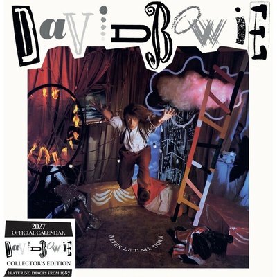 David Bowie Record Sleeve 2027