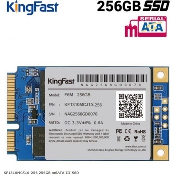 KingFast 256GB, KF1310MCS10-256