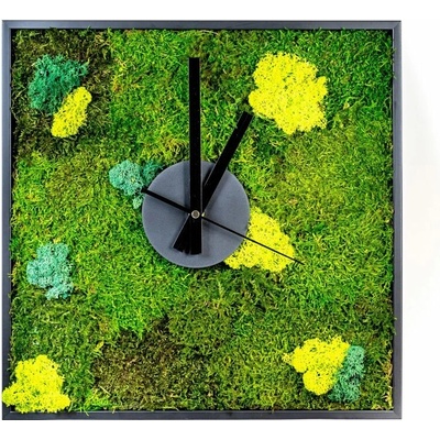 Gardners Mechové hodiny 35x35 cm z plochého mechu v kombinaci s lišejníkem, černá