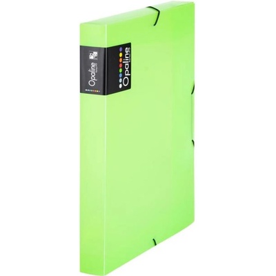 Kartonpp Plastový box s gumičkou Karton PP Opaline, zelený