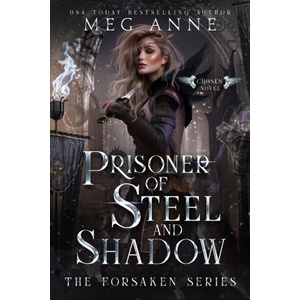 Prisoner of Steel and Shadow | Meg Anne (ISBN: 9781951738389)
