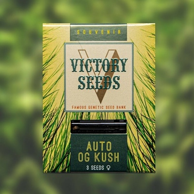 Victory Seeds AUTO OG Kush semena neobsahují THC 5 ks