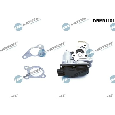 Dr.Motor Automotive AGR ventil DMA DRM91101