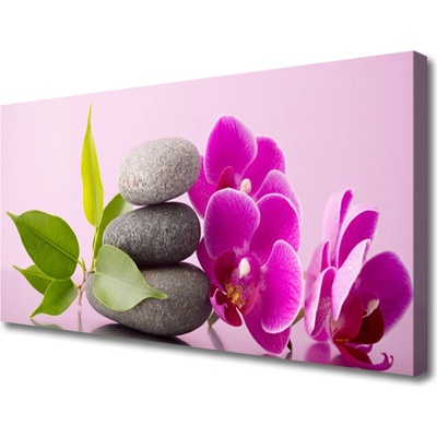 Obraz Canvas Orchidea vstavač kamene 100x50 cm