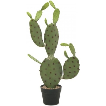 Kaktus Nopal, 75cm