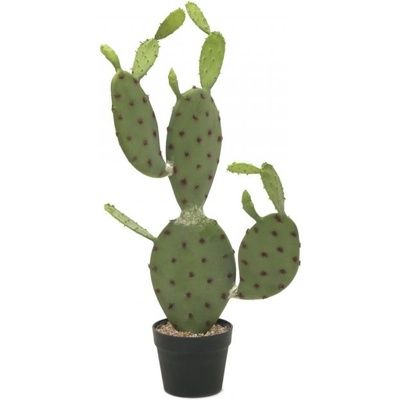 Kaktus Nopal, 75cm