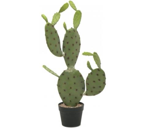 Kaktus Nopal, 75cm